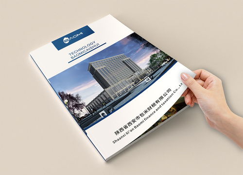 財務(wù)公司畫冊設(shè)計與企業(yè)形象策劃——代理做賬公司宣傳冊設(shè)計制作欣賞