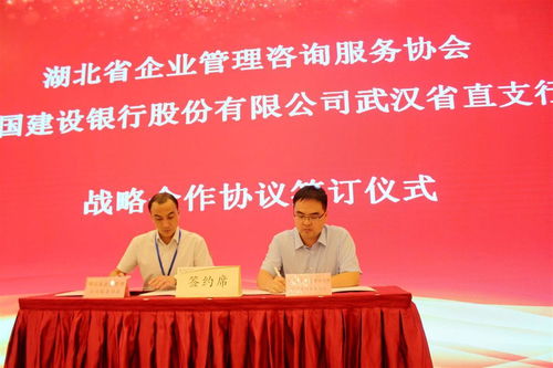 湖北省企業(yè)管理咨詢(xún)服務(wù)協(xié)會(huì)換屆,程鵬當(dāng)選為會(huì)長(zhǎng)